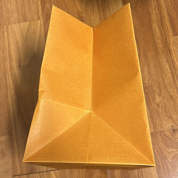 Authentic Louis Vuitton Paper Shopping Bag - Picture 11 of 11